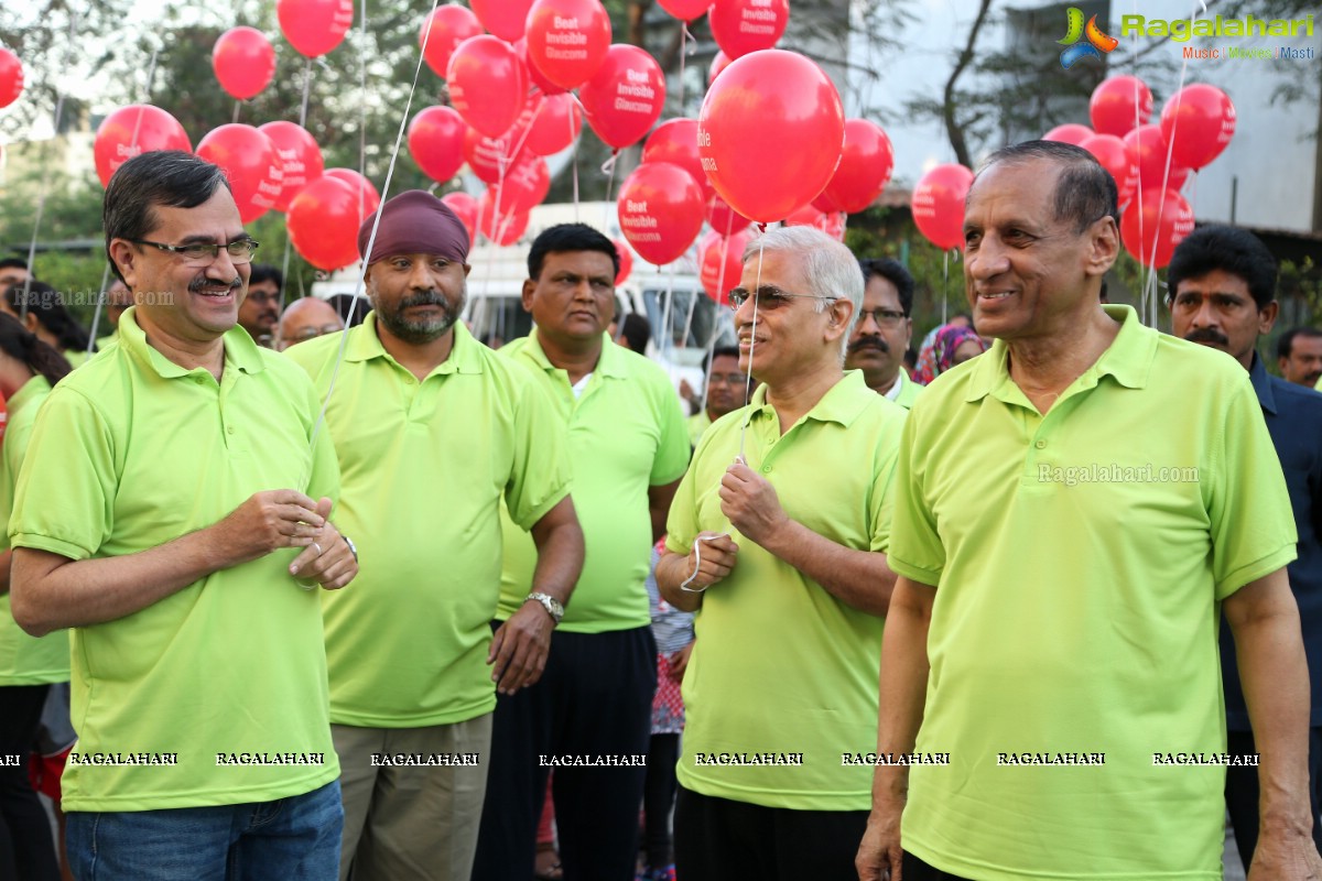 Glaucoma Awareness Walk 2017 by L V Prasad Eye Institute, Hyderabad