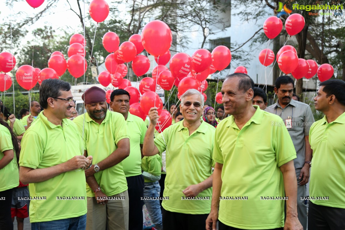 Glaucoma Awareness Walk 2017 by L V Prasad Eye Institute, Hyderabad