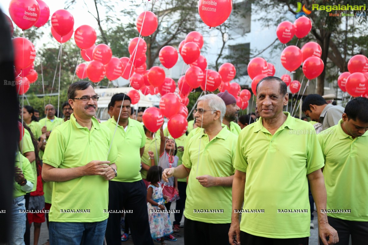 Glaucoma Awareness Walk 2017 by L V Prasad Eye Institute, Hyderabad