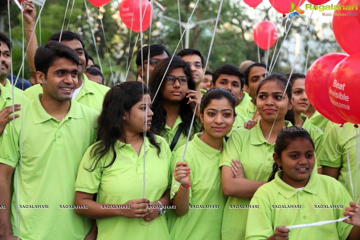 Glaucoma Awareness Walk 2017 by L V Prasad Eye Institute, Hyderabad