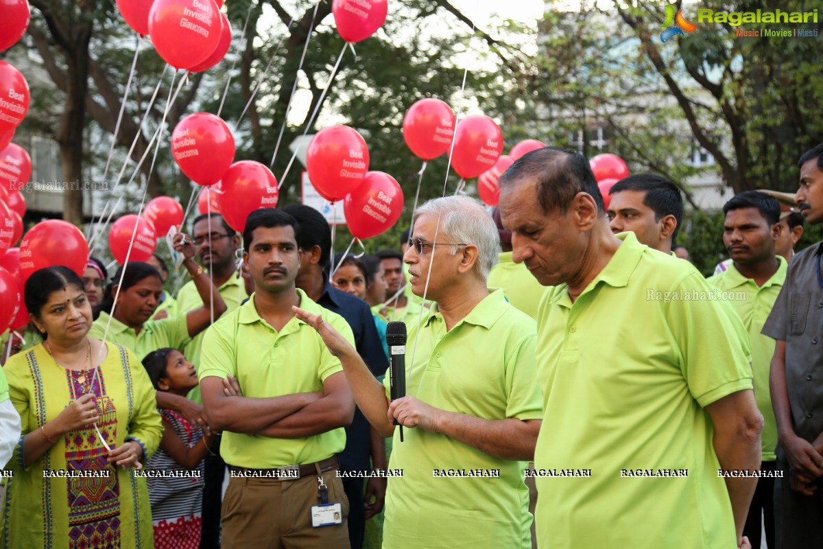 Glaucoma Awareness Walk 2017 by L V Prasad Eye Institute, Hyderabad