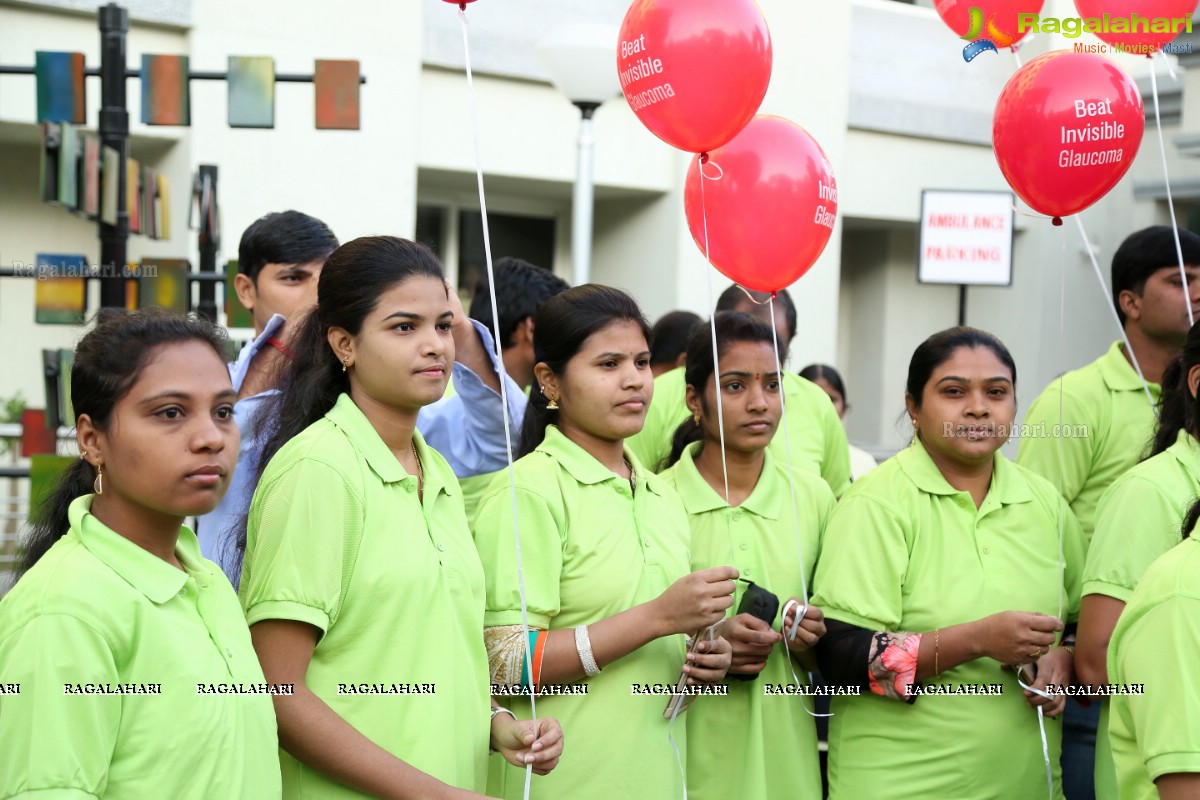 Glaucoma Awareness Walk 2017 by L V Prasad Eye Institute, Hyderabad