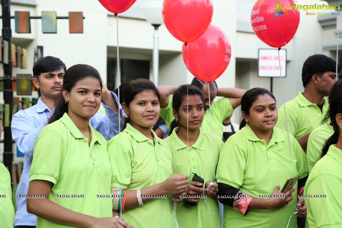 Glaucoma Awareness Walk 2017 by L V Prasad Eye Institute, Hyderabad