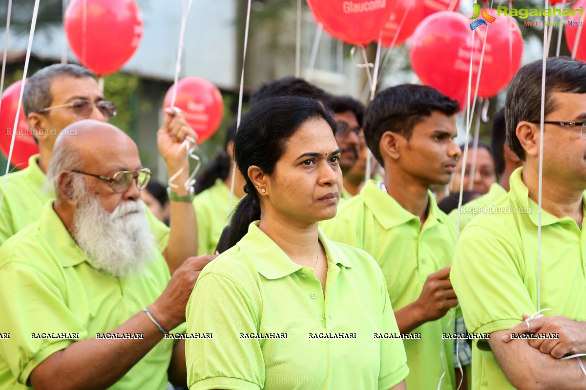 Glaucoma Awareness Walk 2017 by L V Prasad Eye Institute, Hyderabad