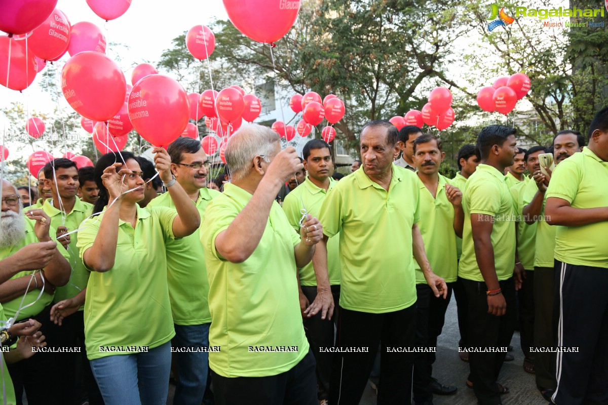 Glaucoma Awareness Walk 2017 by L V Prasad Eye Institute, Hyderabad