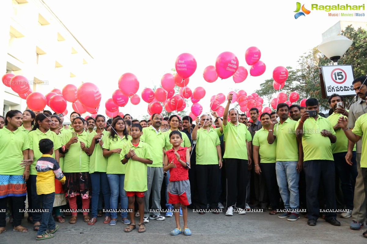 Glaucoma Awareness Walk 2017 by L V Prasad Eye Institute, Hyderabad