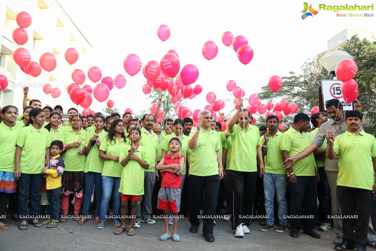 Glaucoma Awareness Walk 2017 by L V Prasad Eye Institute, Hyderabad