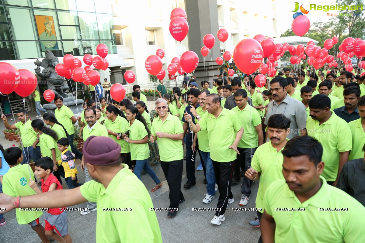 Glaucoma Awareness Walk 2017 by L V Prasad Eye Institute, Hyderabad