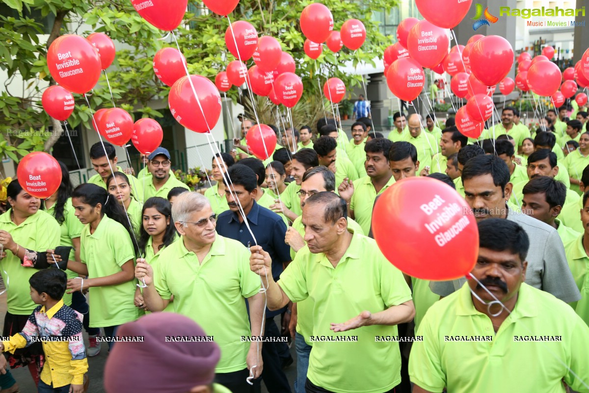 Glaucoma Awareness Walk 2017 by L V Prasad Eye Institute, Hyderabad