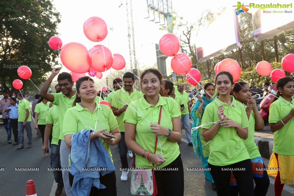 Glaucoma Awareness Walk 2017 by L V Prasad Eye Institute, Hyderabad