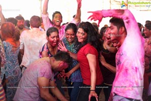 Tarang Color Festival