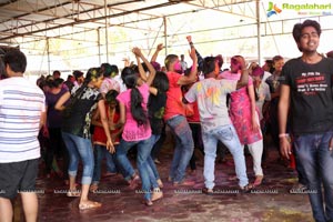 Tarang Color Festival