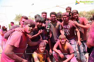 Holi 2017