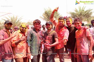 Holi 2017