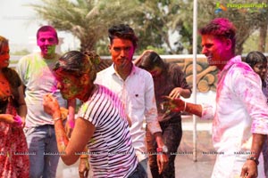 Holi 2017