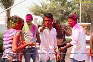 Holi 2017