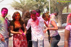 Holi 2017