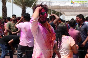 Holi 2017