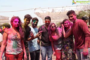 Holi 2017