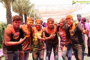 Holi 2017