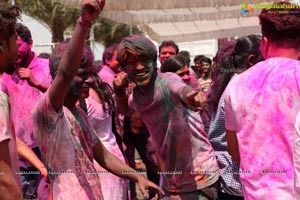 Holi 2017