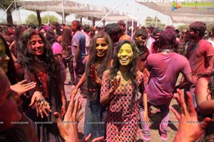 Holi 2017