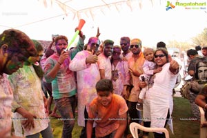 Holi 2017