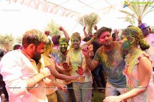 Holi 2017