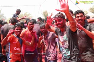 Holi 2017