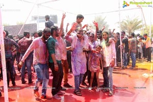 Holi 2017