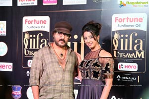 IIFA 2017 Day 1