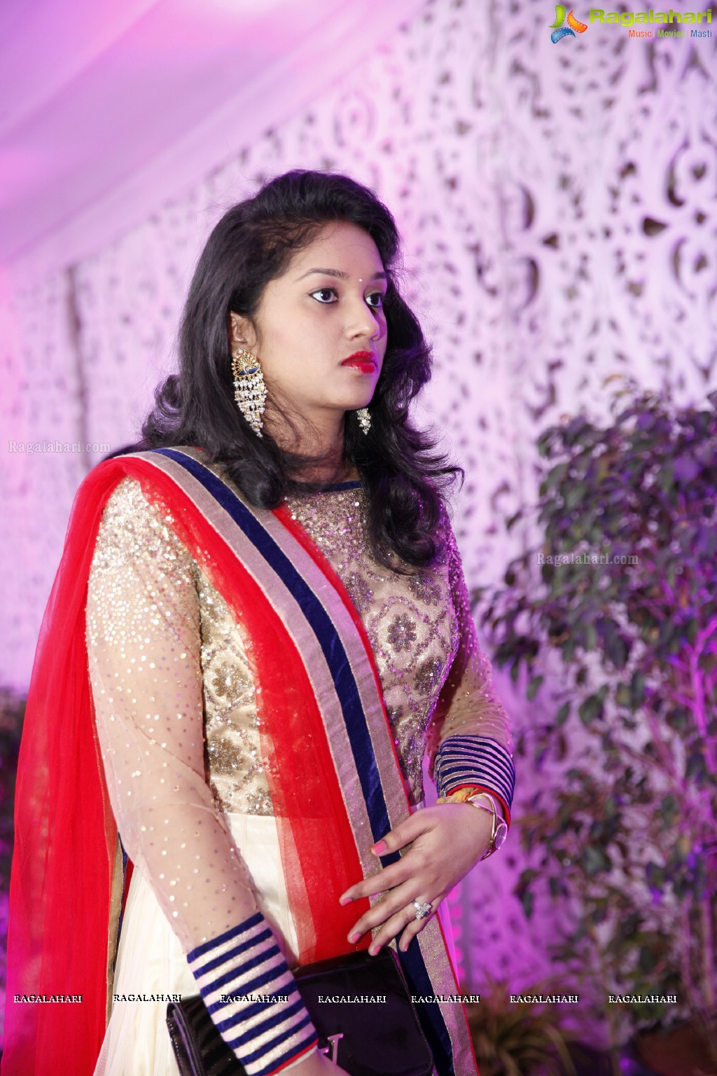 Grand Wedding Reception of Rahul with Deepika at Jalavihar, Hyderabad