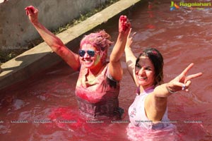 Raunaq Holi Colour Festivity 2017