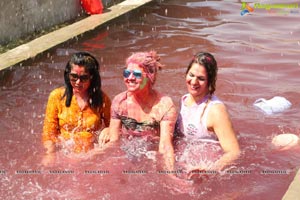 Raunaq Holi Colour Festivity 2017