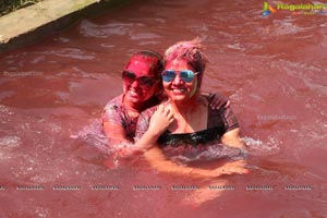 Raunaq Holi Colour Festivity 2017