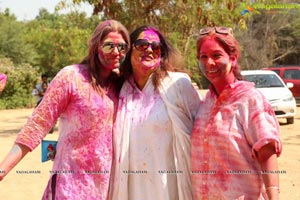 Raunaq Holi Colour Festivity 2017