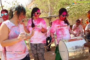 Raunaq Holi Colour Festivity 2017