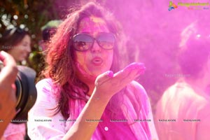 Raunaq Holi Colour Festivity 2017