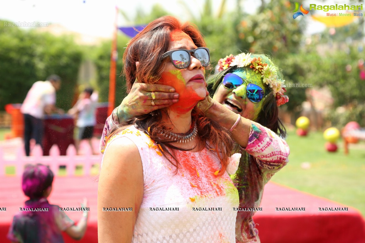 Holi 2017 Celebrations by Samanvay Ladies Club, Hyderabad