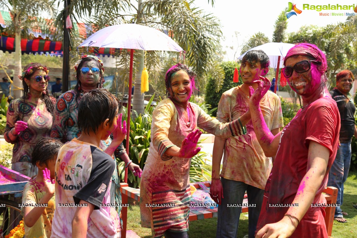 Holi 2017 Celebrations by Samanvay Ladies Club, Hyderabad