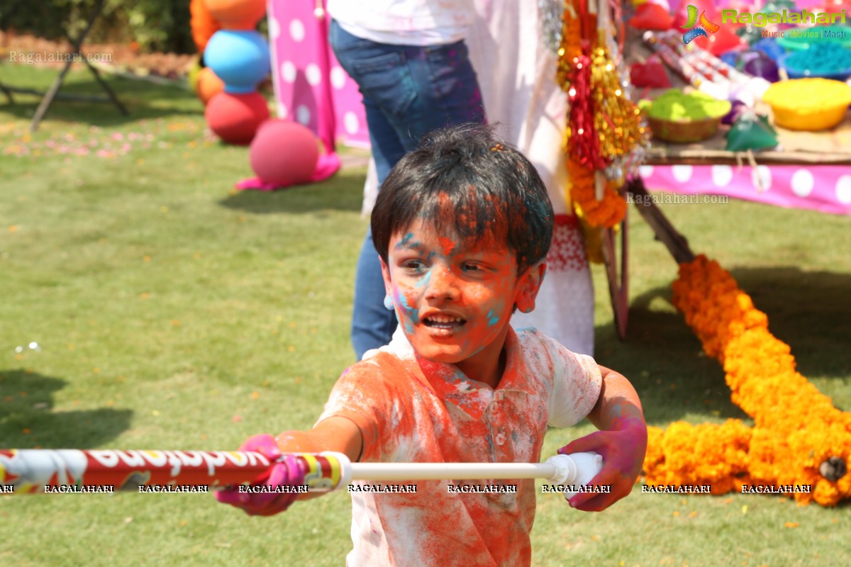 Holi 2017 Celebrations by Samanvay Ladies Club, Hyderabad