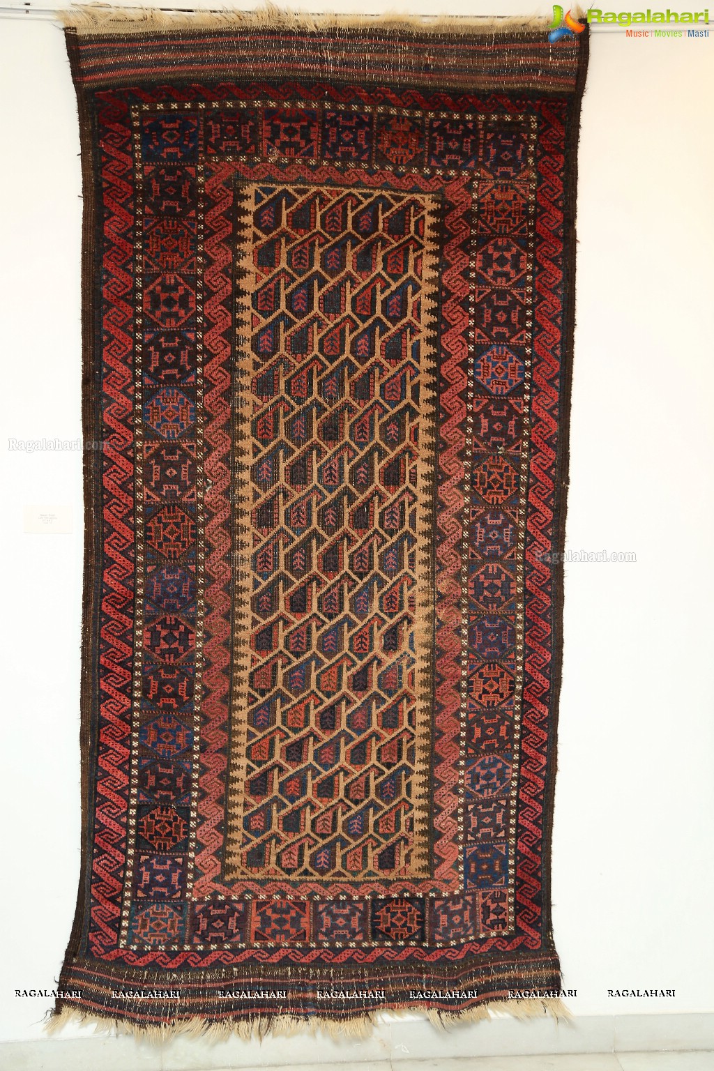 Unique Exhibition of Rare Tribal Carpets at Shrishti Art Gallery, Hyderabad