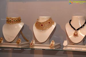 The South Indian Bride Exhibition