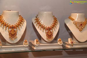 The South Indian Bride Exhibition