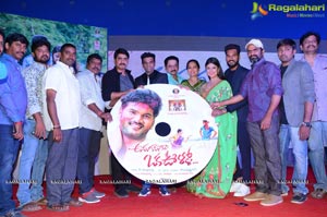 Anaganaga Oka Oollo Audio Release Photos