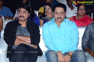 Anaganaga Oka Oollo Audio Release Photos