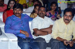 Anaganaga Oka Oollo Audio Release Photos