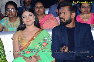 Anaganaga Oka Oollo Audio Release Photos