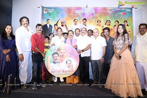 Bangaru Telangana Audio Release