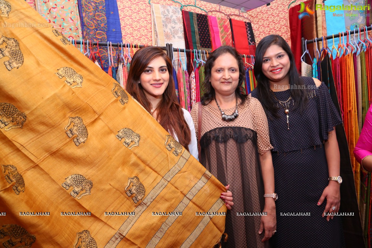 Desire Designer Exhibition inaguarated by Sita Narayan